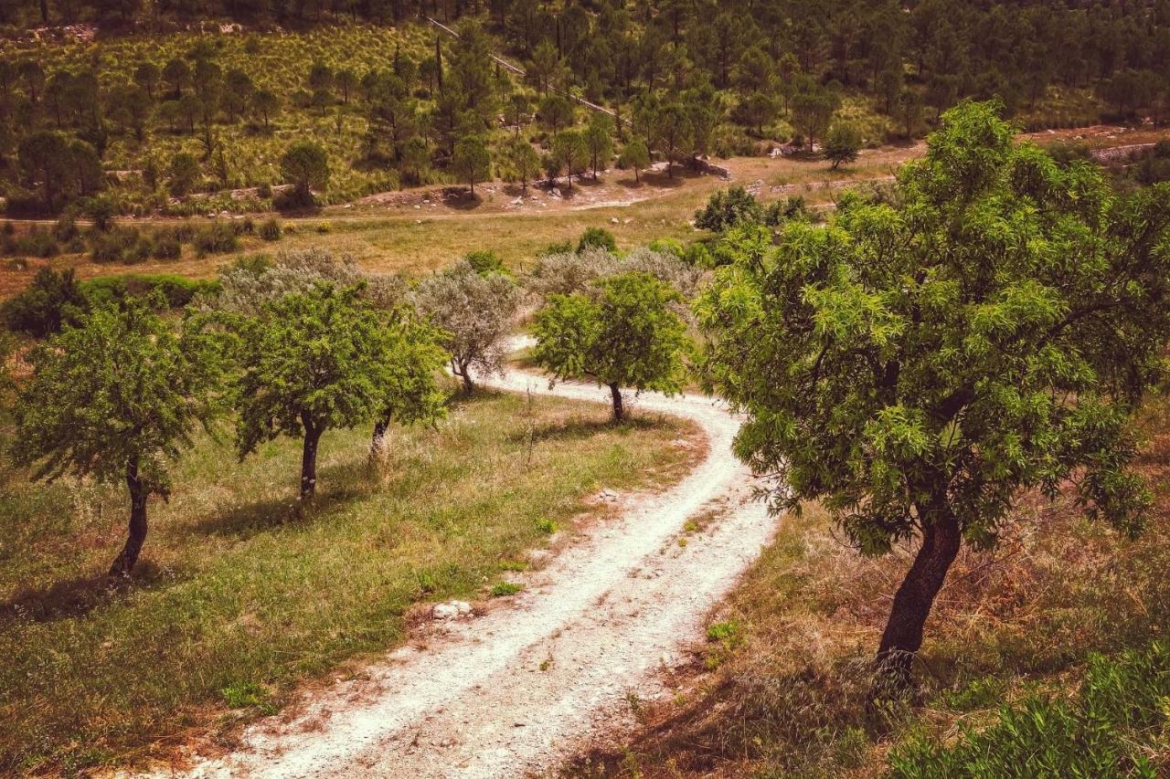 Casa Luna - 16Th Century Traditional Spanish Village House Pinos del Valle Zewnętrze zdjęcie